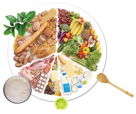 食品送检，安享无忧——今日“你送我检”活动为您的餐桌安全保驾护航