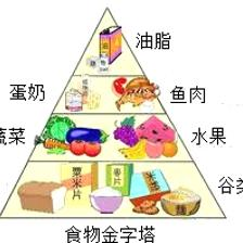 解析健康饮食结构 食物金字塔的营养奥秘